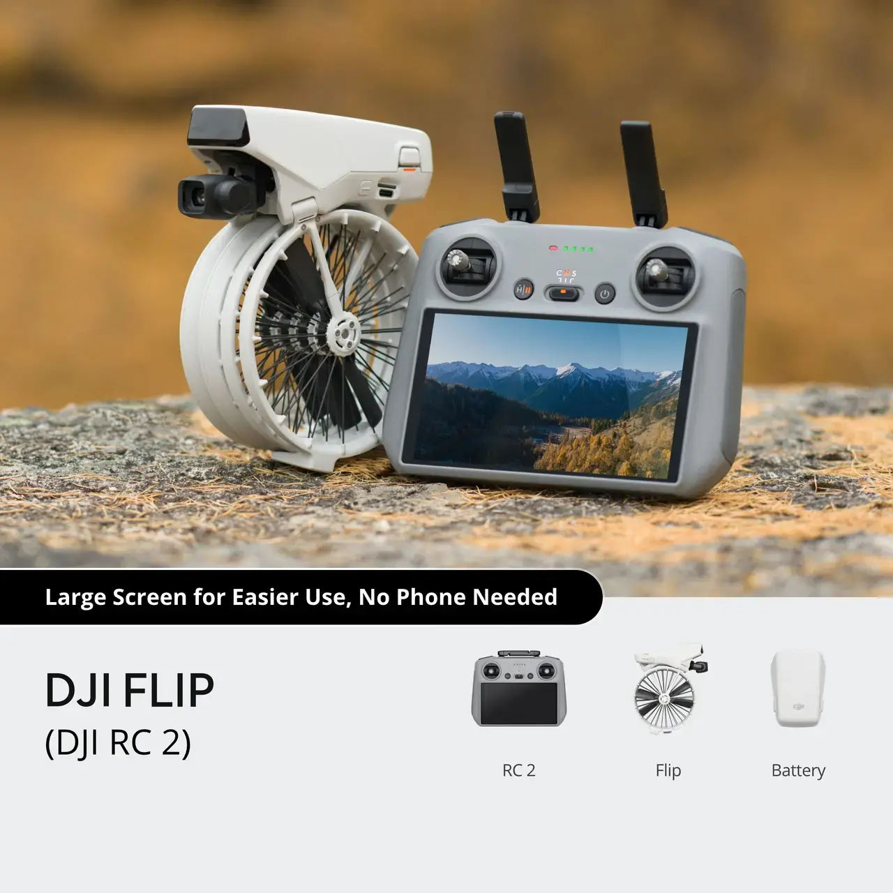 Flip wib 1.webp