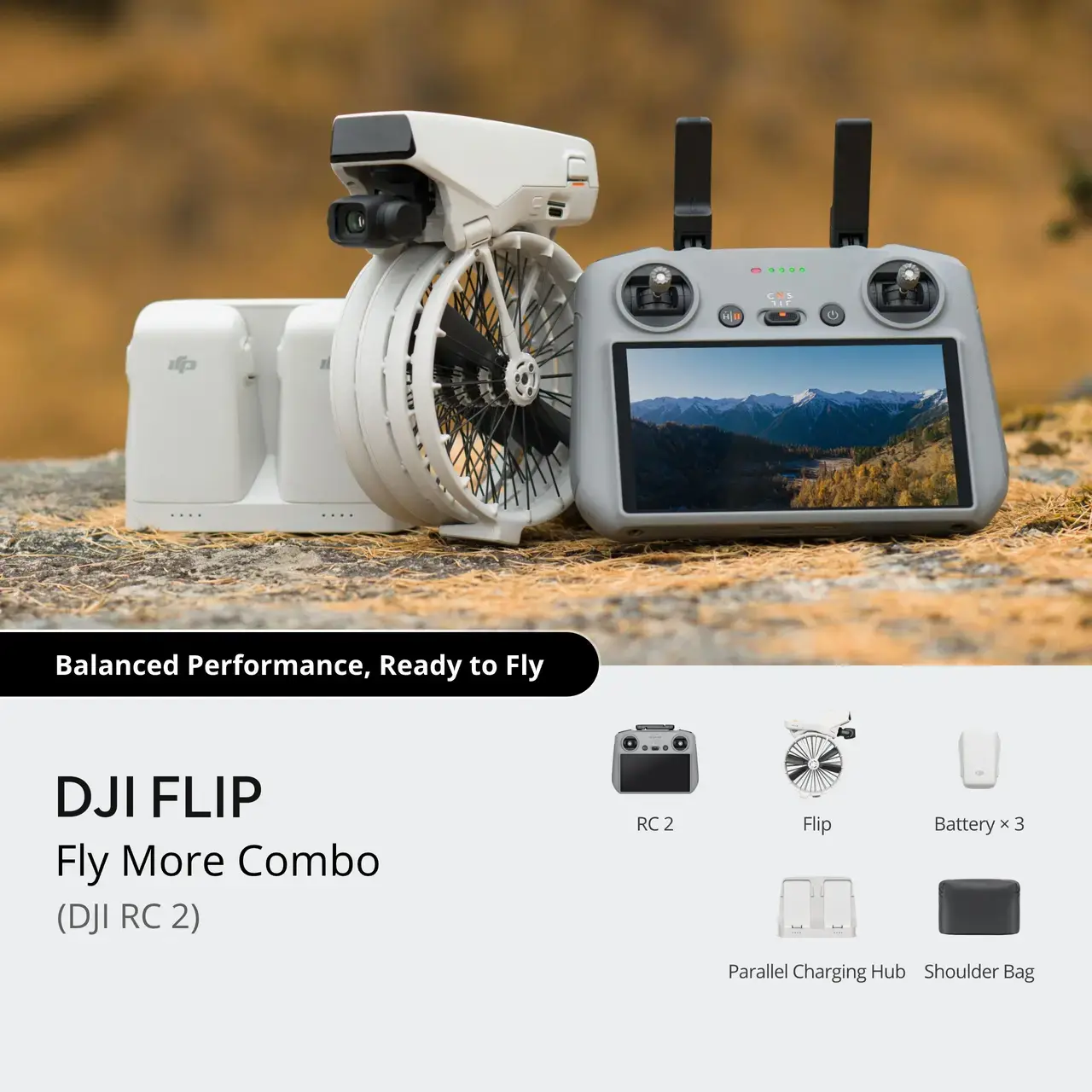 Flip wib 2.webp