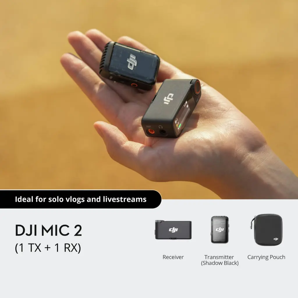 Mic 2.webp