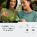 1.webp